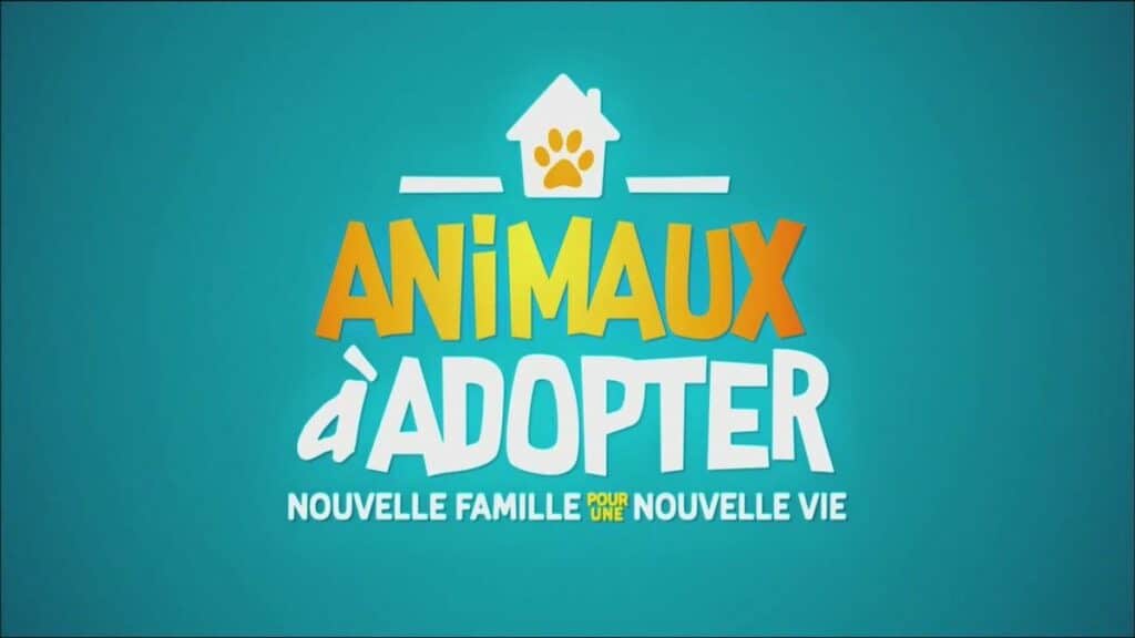 voix off emission animaux a adopter