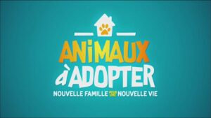voix off emission animaux a adopter